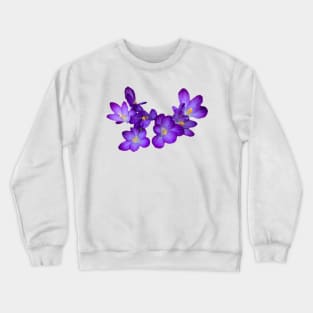 Garland of Purple Crocuses Crewneck Sweatshirt